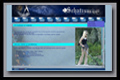 zur Webseite